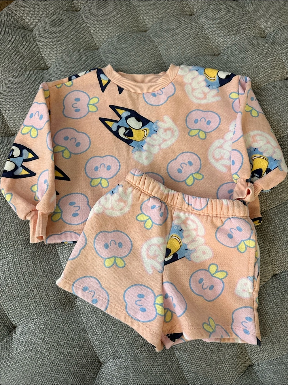 Kids Bluey Sweat Set